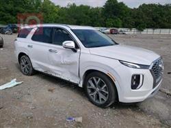 هیوندای پالیسەید